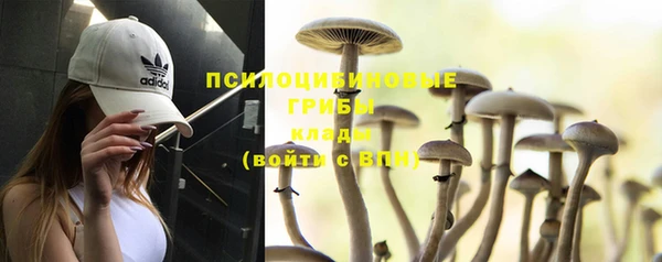 мескалин Карпинск