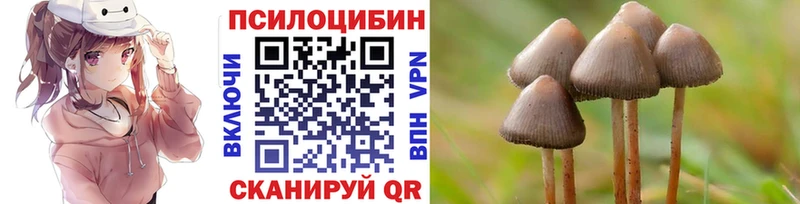 Псилоцибиновые грибы Psilocybine cubensis  Купить закладки  Чистополь 